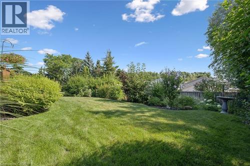 Expansive backyard featuring a manicured lawn, established shrubbery, and mature trees providing natural screening - 187 Westchester Drive, Kitchener, ON - Outdoor