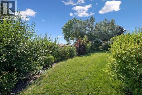 Expansive green lawn surrounded by mature trees and varied shrubbery - 187 Westchester Drive, Kitchener, ON - Outdoor