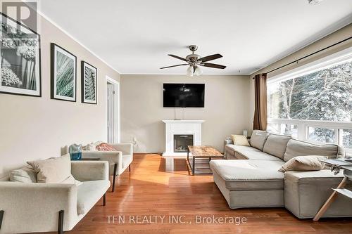 322 Concession Road W, Tiny, ON - Indoor Photo Showing Living Room With Fireplace