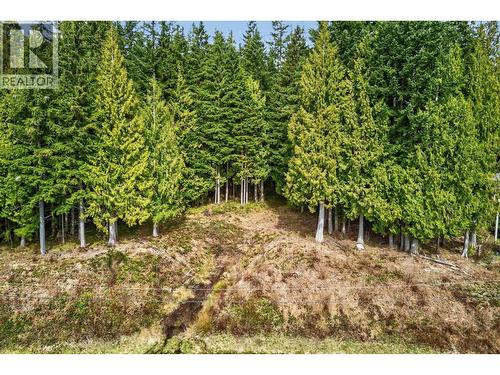 27641 128 Avenue, Maple Ridge, BC 