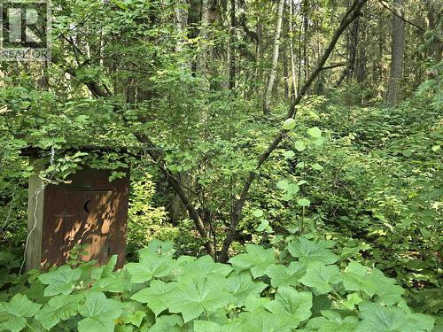4055 Bailey Road, Valemount, BC - Outdoor