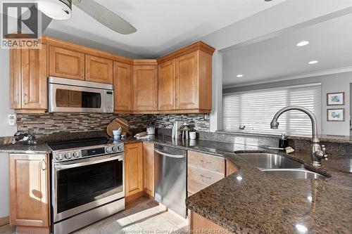 462 Dormar Drive, Windsor, ON - Indoor Photo Showing Kitchen With Double Sink
