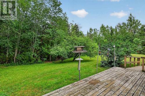 335 Douro 3Rd Line, Douro-Dummer, ON - Outdoor With Deck Patio Veranda