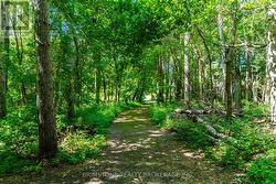 One of the walking paths - 