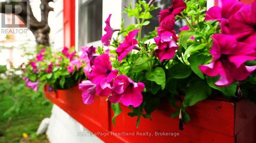 284 Elgin Avenue W, Goderich (Goderich (Town)), ON - Outdoor