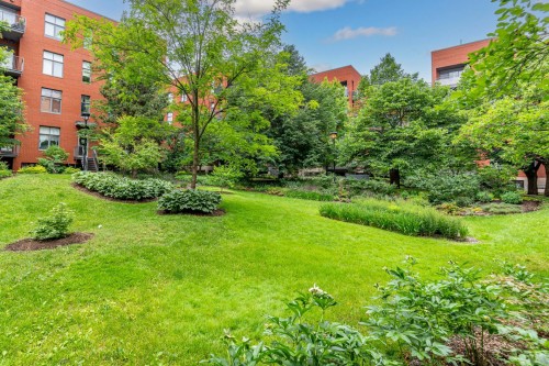 Courtyard - 206-1300 Rue Pauline-Julien, Montréal (Le Plateau-Mont-Royal), QC - Outdoor