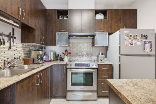 Kitchen - 206-1300 Rue Pauline-Julien, Montréal (Le Plateau-Mont-Royal), QC - Indoor Photo Showing Kitchen With Double Sink With Upgraded Kitchen