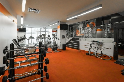 Autre - 306-1010 Rue William, Montréal (Le Sud-Ouest), QC - Indoor Photo Showing Gym Room