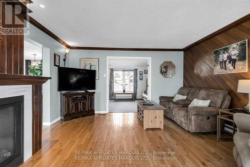 6576 Tree Haven Road, South Glengarry, ON - Indoor Photo Showing Living Room With Fireplace