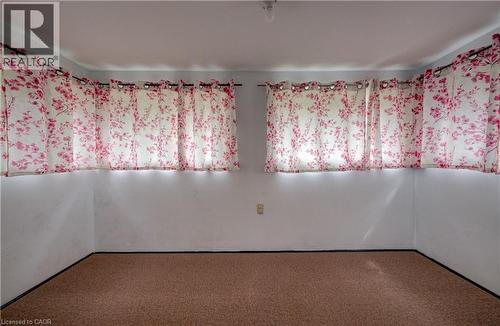 Light-colored walls featuring multiple windows, carpet flooring, and a ceiling-mounted light fixture - 182 Avalon Place, Kitchener, ON - Indoor Photo Showing Other Room