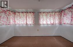 Light-colored walls featuring multiple windows, carpet flooring, and a ceiling-mounted light fixture - 