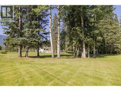 849 BRIDGE ROAD Mcbride, BC V0J 2E0