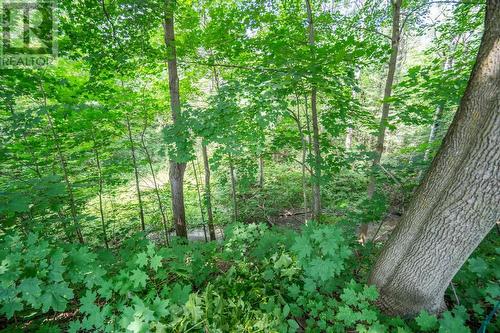 52 Stevens St, Sault Ste. Marie, ON - Outdoor