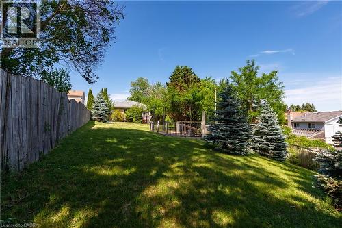 Expansive green lawn and mature trees - 907 Doon Village Road, Kitchener, ON - Outdoor