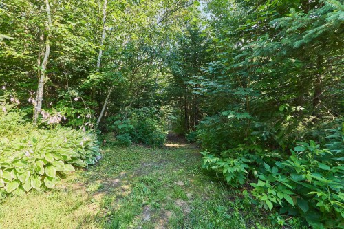 Accès au plan d'eau - 43 Rg D'Ailleboust, Sainte-Béatrix, QC - Outdoor
