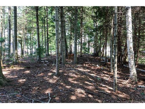 105 Longbow Pl, Quispamsis, NB 