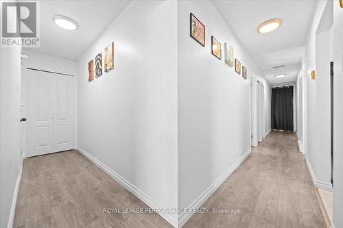Apartment 2 - 1702 Russell Road, Ottawa, ON - Indoor Photo Showing Other Room