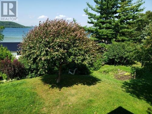 12 Rainbow Trail, Mindemoya, ON - Outdoor