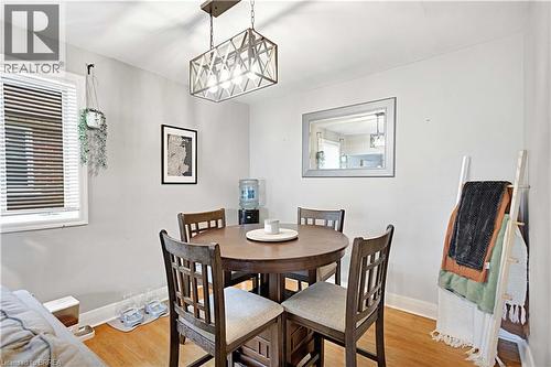 Dining area featuring wood-finish flooring and a rectangular metal chandelier - 371 Ottawa Street S, Kitchener, ON - Indoor Photo Showing Dining Room