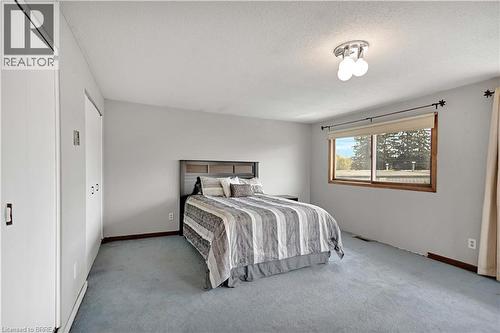 Bedroom featuring light gray walls and blue carpet - 371 Ottawa Street S, Kitchener, ON - Indoor Photo Showing Bedroom