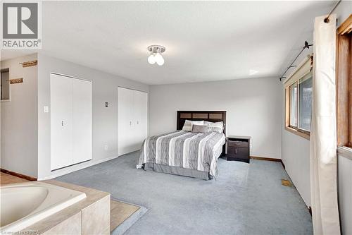 Spacious room featuring light blue carpet, white walls, and a built-in jetted tub with tile surround - 371 Ottawa Street S, Kitchener, ON - Indoor Photo Showing Bathroom