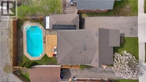 Backyard oasis featuring an in-ground swimming pool, surrounding concrete patio, and a wood deck - 371 Ottawa Street S, Kitchener, ON - Outdoor With In Ground Pool