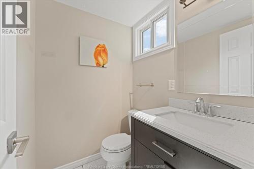 8020 Molnar, Windsor, ON - Indoor Photo Showing Bathroom