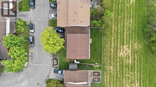8020 Molnar, Windsor, ON - Outdoor