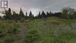 18 Gallows Cove Torbay, NL A1K 1G8