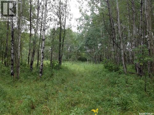 88 Acres Land, Hudson Bay, SK 