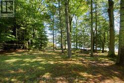 Yard - 