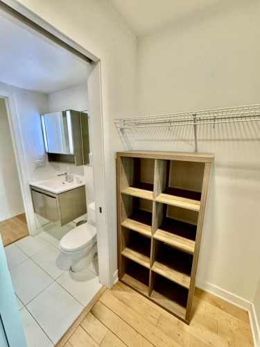 Closet - 1810-1288 Av. Des Canadiens-De-Montréal, Montréal (Ville-Marie), QC - Indoor With Storage