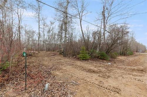 41005 Saffie Rd, Alexander, MB 