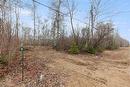 41005 Saffie Rd, Alexander, MB 