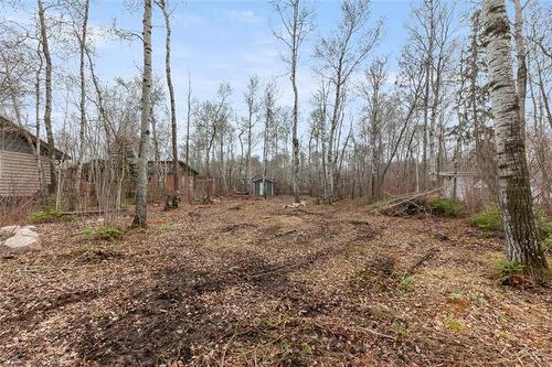 41005 Saffie Rd, Alexander, MB 