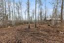 41005 Saffie Rd, Alexander, MB 