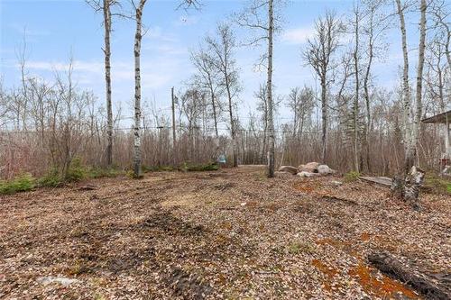 41005 Saffie Rd, Alexander, MB 