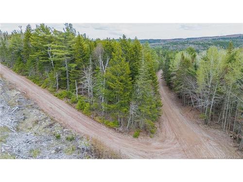 Lot Upper Goshen Rd, Goshen, NB 