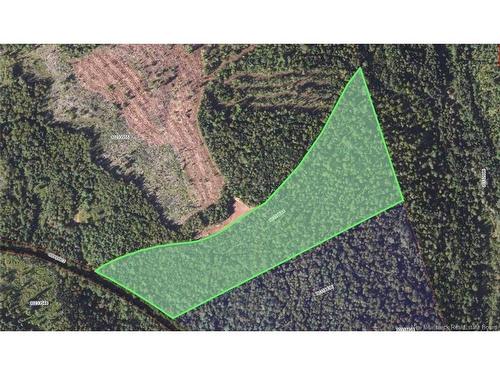 Lot Upper Goshen Rd, Goshen, NB 
