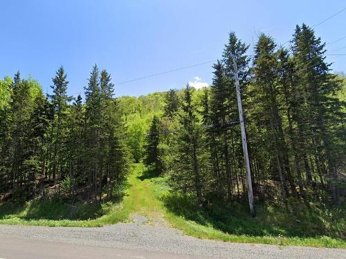 14266 4 Highway, Marshy Hope, NS 