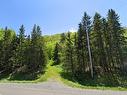 14266 4 Highway, Marshy Hope, NS 