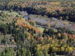 985 Coady Road  Margaree Forks, NS B0E 3H0