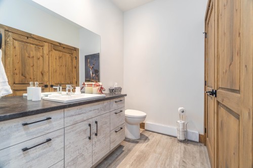 Bathroom - 1254Z Allée Des Chevaux-Blancs, Mont-Tremblant, QC - Indoor Photo Showing Bathroom