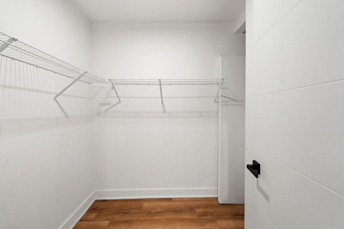 Closet - 403-645 Rue René-Lecavalier, Terrebonne (Terrebonne), QC - Indoor With Storage