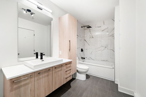 Bathroom - 403-645 Rue René-Lecavalier, Terrebonne (Terrebonne), QC - Indoor Photo Showing Bathroom