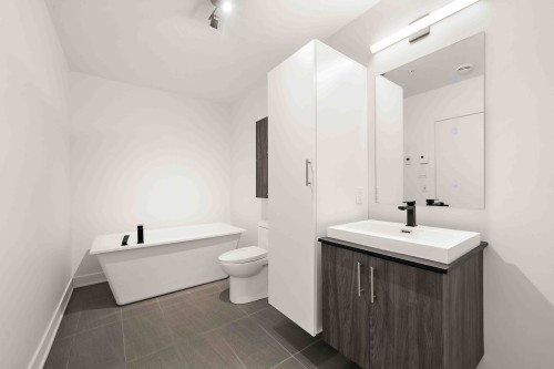 Bathroom - 102-645 Rue René-Lecavalier, Terrebonne (Terrebonne), QC - Indoor Photo Showing Bathroom