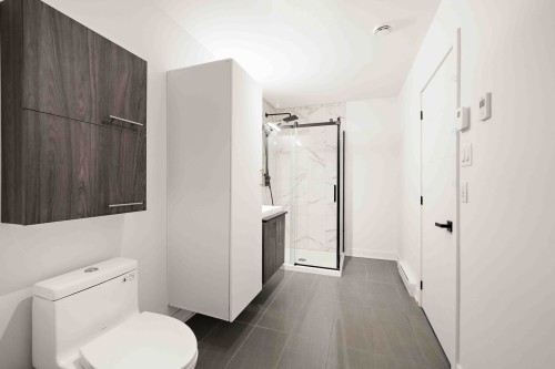 Bathroom - 102-645 Rue René-Lecavalier, Terrebonne (Terrebonne), QC - Indoor Photo Showing Bathroom