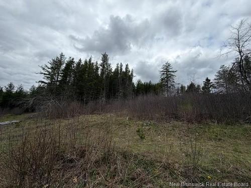 Lot Turkey Trail, Elgin, NB 