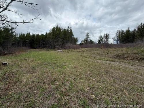 Lot Turkey Trail, Elgin, NB 