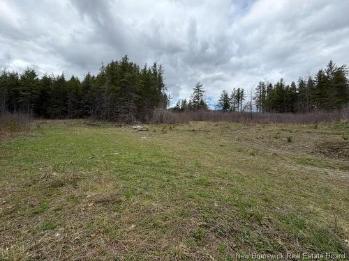 Lot Turkey Trail, Elgin, NB 
